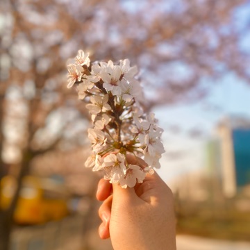 사용자 이미지