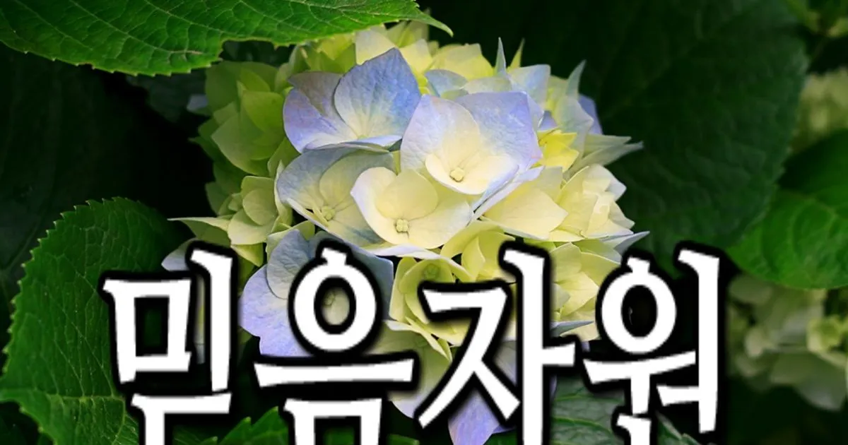 믿음환경 고수의 폐기물 처리 서비스, 인천 서구 - 숨고, 숨은고수 믿음환경 고수의 폐기물 처리 서비스, 인천 서구