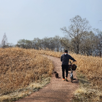 오렌지용달이사  고수 프로필