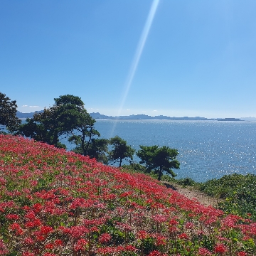 사용자 이미지