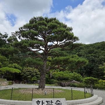 사용자 이미지