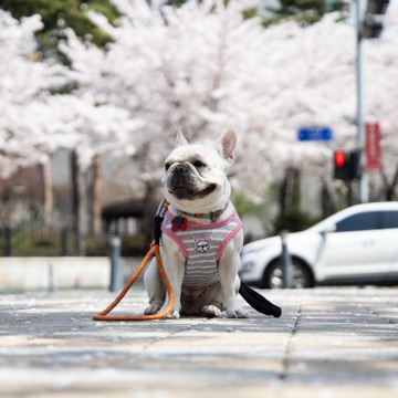사용자 이미지