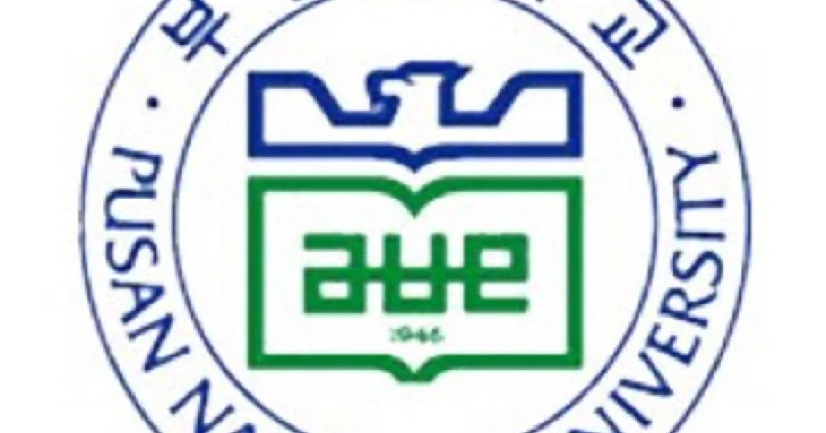 고수의 영어 과외 서비스, 부산 금정구 - 숨고, 숨은고수  고수의 영어 과외 서비스, 부산 금정구