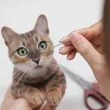 메이크펫(반려동물인형제작)