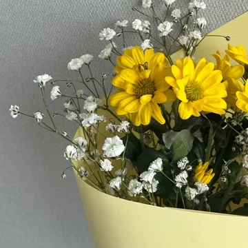 사용자 이미지