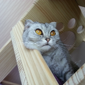 사용자 이미지