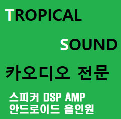 트로피칼사운드 고수 프로필