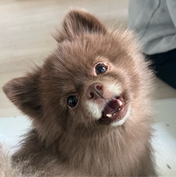 김연우 고수 프로필