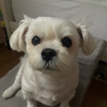 사용자 이미지
