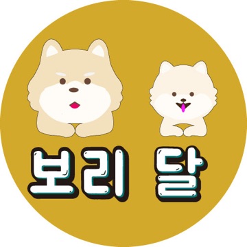 보리달 고수 프로필