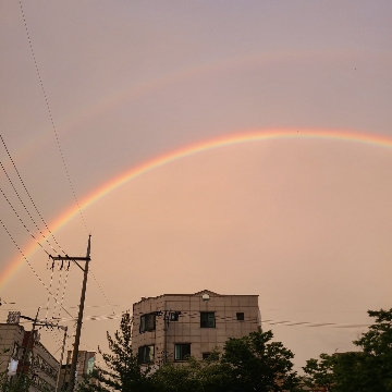 김찬 고수 프로필
