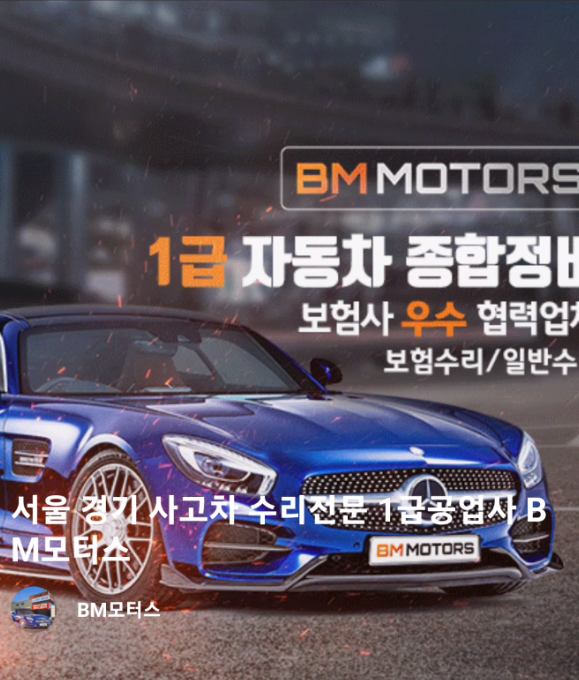 BM모터스 고수 프로필