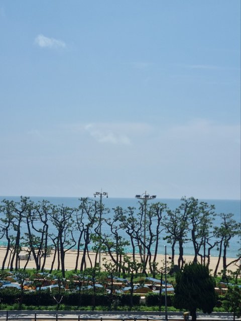 사용자 이미지
