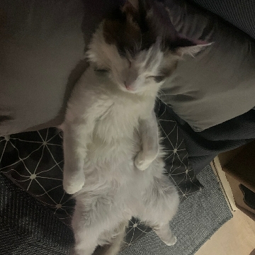 사용자 이미지