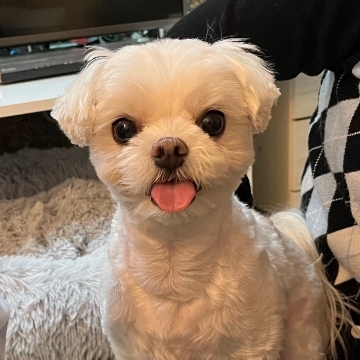 사용자 이미지