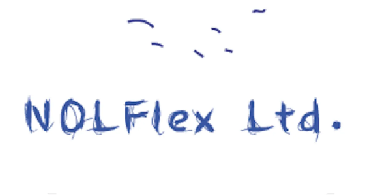 놀플렉스(NOLFlex Ltd.) 고수의 기타 서비스·행사 알바 서비스, 경기... 놀플렉스(NOLFlex Ltd.) 고수의 기타 서비스·행사 알바 서비스, 경기... 