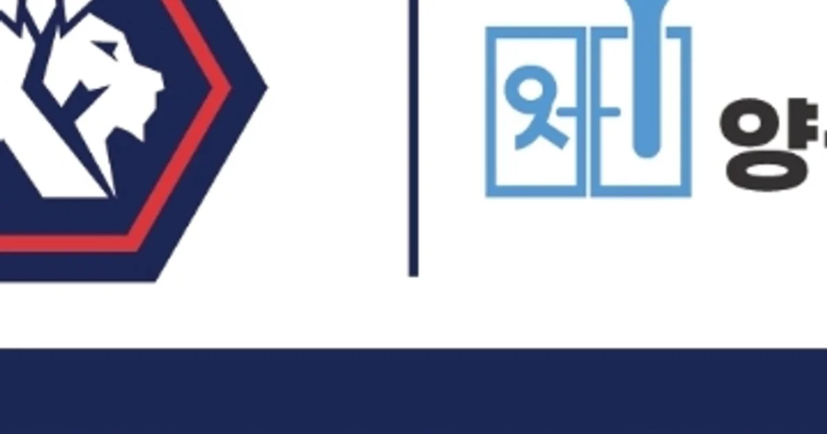양심 청소 고수의 이사/입주 청소업체 서비스, 충북 청주시 - 숨고, 숨은고수 양심 청소 고수의 이사/입주 청소업체 서비스, 충북 청주시