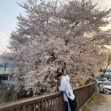 사용자 이미지