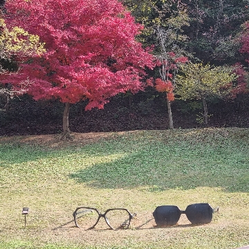 사용자 이미지