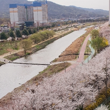 사용자 이미지