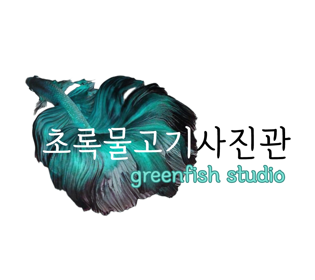 사용자 이미지