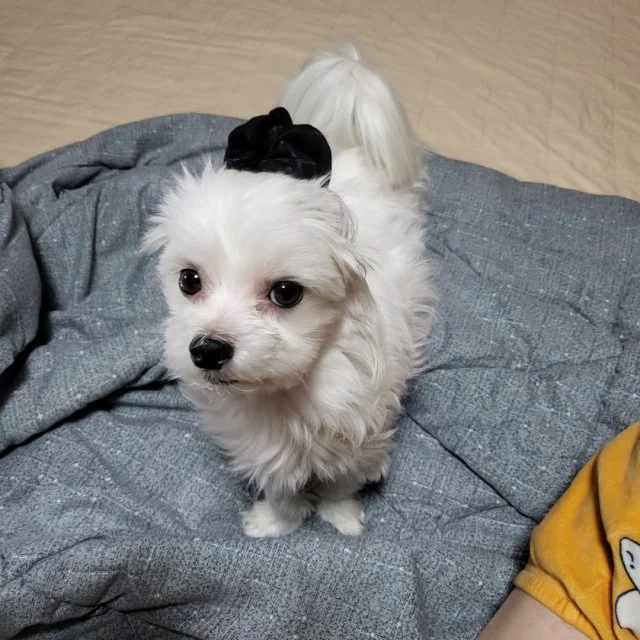 사용자 이미지