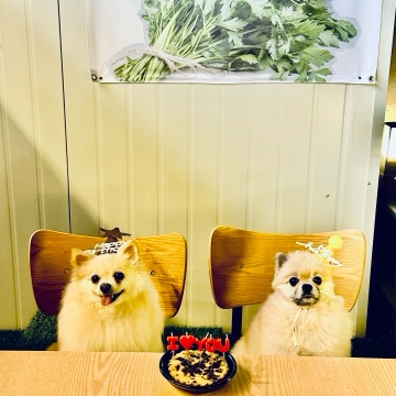 사용자 이미지