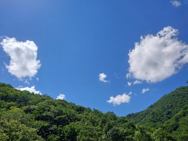 사용자 이미지