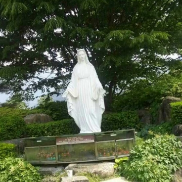 사용자 이미지