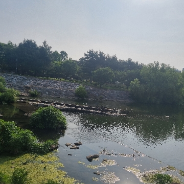 사용자 이미지