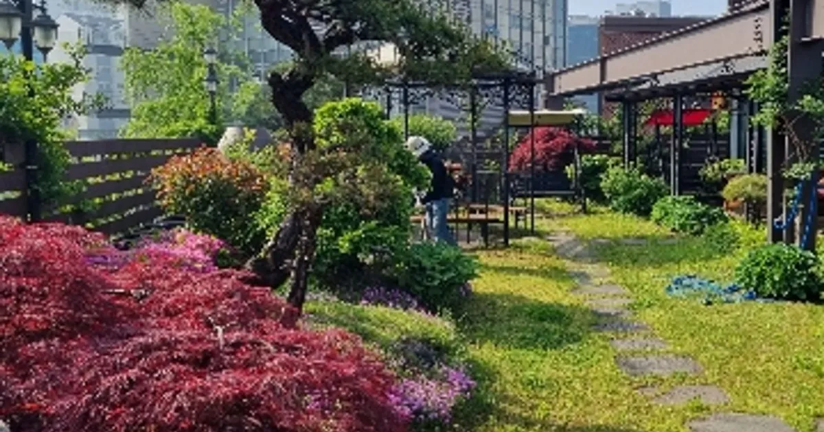 늘봄조경(조경공사,조경관리,전정,전지,예초,제초,벌초) 고수의 조경 공사 서비스, 경기 수원시 - 숨고, 숨은고수 늘봄조경(조경공사,조경관리,전정... 