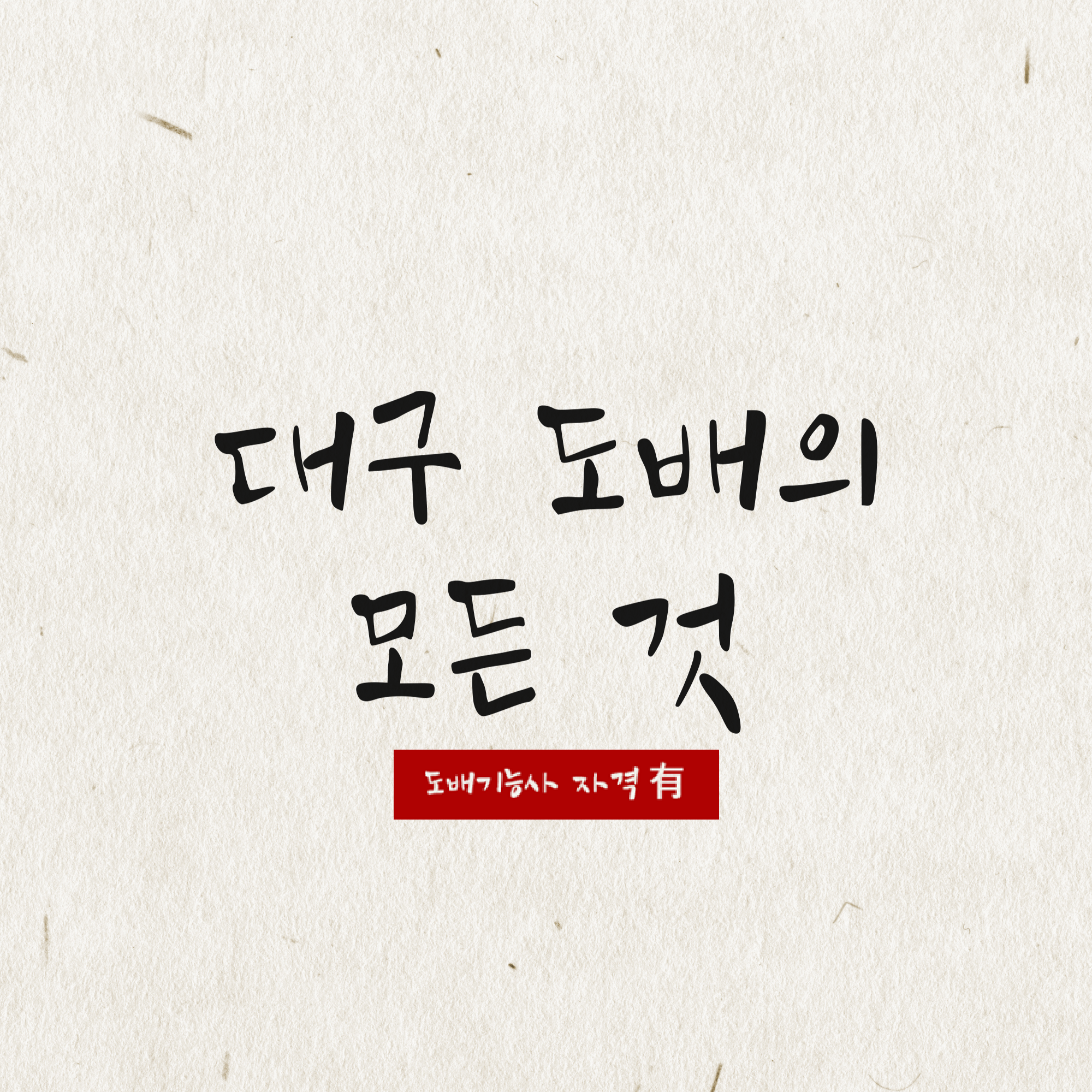 대구도배의모든것 고수 프로필