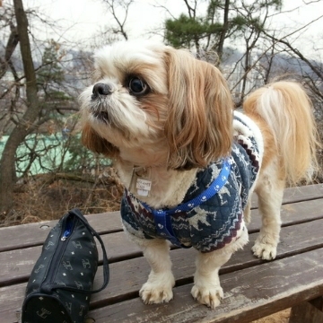 사용자 이미지