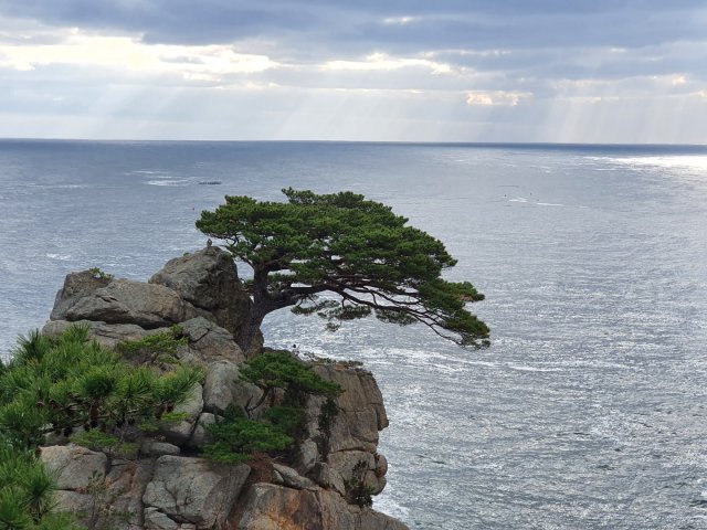 사용자 이미지