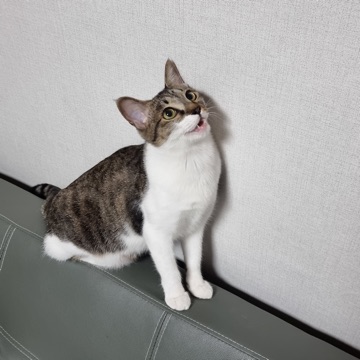 사용자 이미지