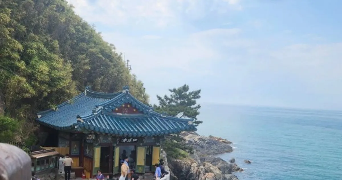 .. 고수의 케이터링 서비스, 서울특별시 강남구 - 숨고, 숨은고수 .. 고수의 케이터링 서비스, 서울특별시 강남구