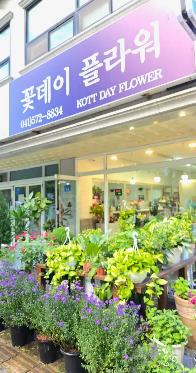 꽃데이 플라워(천안) 고수의 플라워 제작 서비스, 충청남도 천안시 - 숨고, 숨은고수 꽃데이 플라워(천안) 고수의 플라워 제작 서비스, 충청남도... 