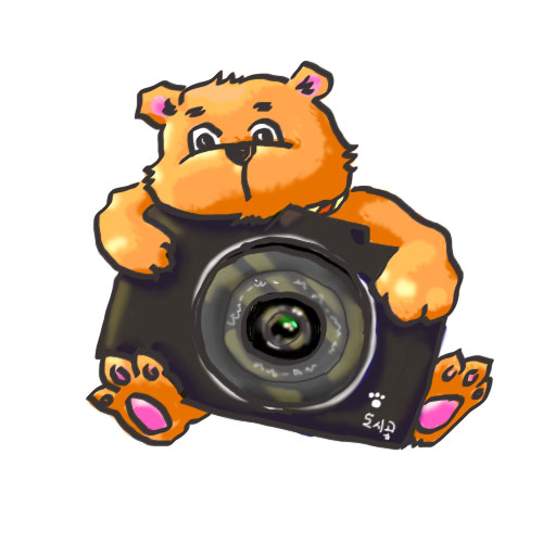 도시곰 스냅 고수 프로필