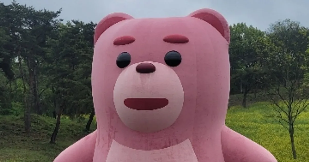 삼호종합물류 문태훈 고수의 국내 이사 서비스, 광주 북구 - 숨고, 숨은고수 삼호종합물류 문태훈 고수의 국내 이사 서비스, 광주 북구