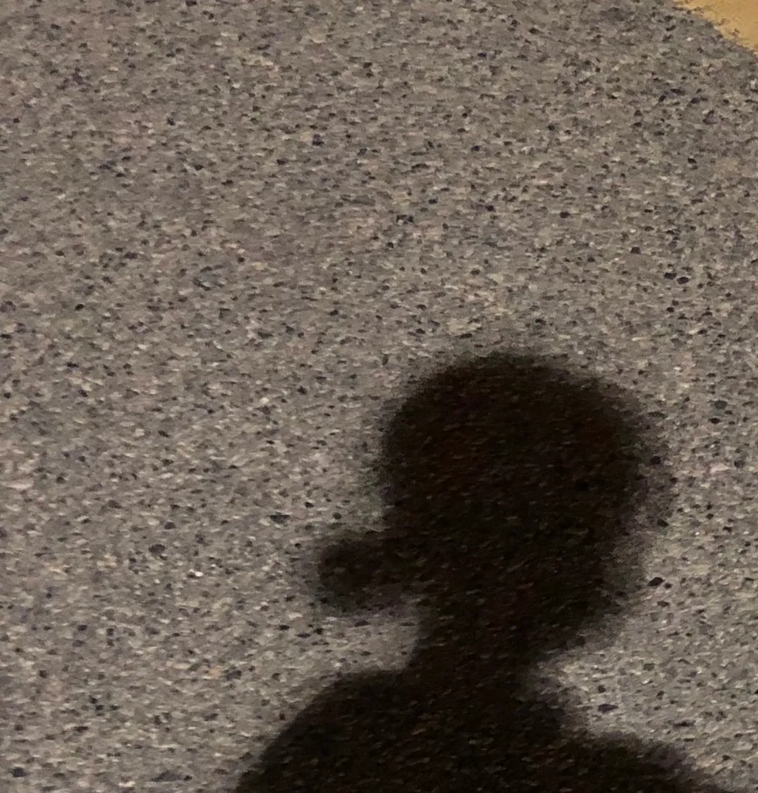 사용자 이미지