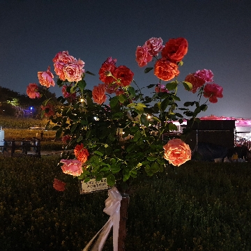 사용자 이미지