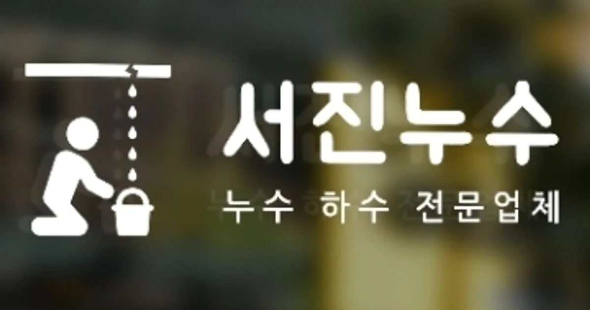 서진 고수의 누수 탐지/공사 (천장 등) 서비스, 서울 광진구 - 숨고, 숨은고수 서진 고수의 누수 탐지/공사 (천장 등) 서비스, 서울 광진구