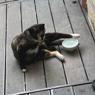 사용자 이미지
