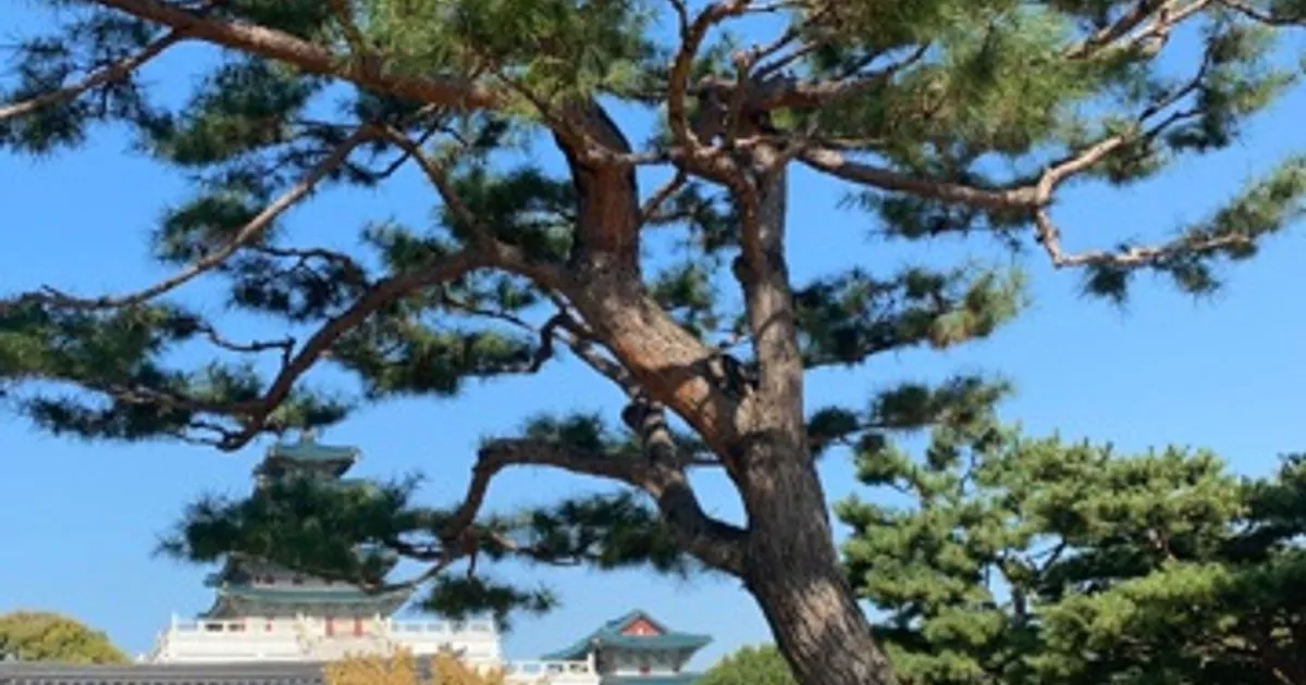 조릉서 고수의 중국어 과외 서비스, 경기도 용인시 - 숨고, 숨은고수 조릉서 고수의 중국어 과외 서비스, 경기도 용인시