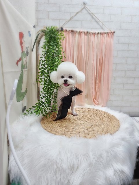 블랙홀썬팅 고수 프로필