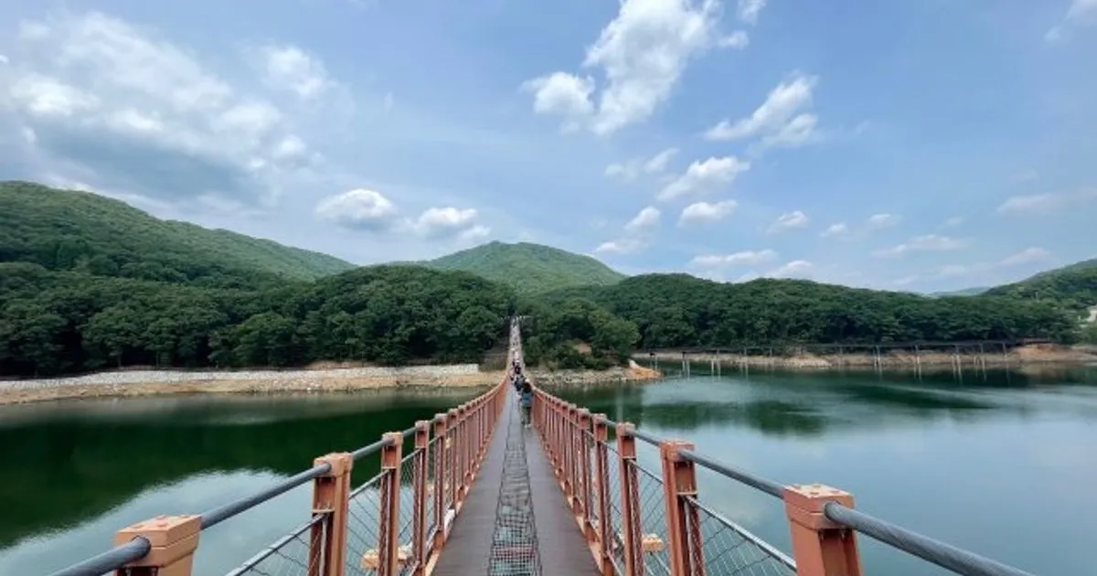 김태호 고수의 자동차 정비 서비스, 서울 강남구 - 숨고, 숨은고수 김태호 고수의 자동차 정비 서비스, 서울 강남구