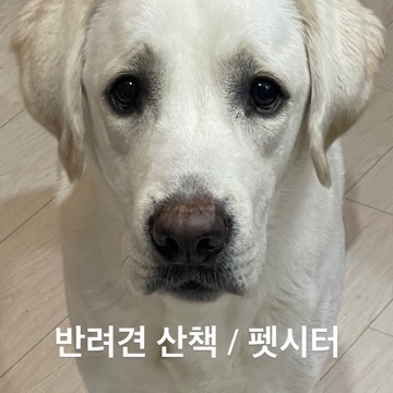 사용자 이미지