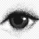 느좋 보정 장인