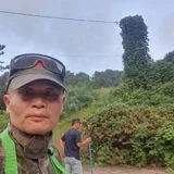 불꽃처럼(조경-벌목전문)