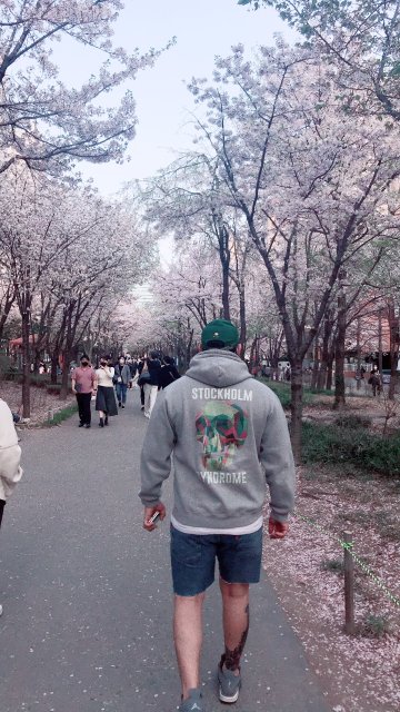 더 코킹 고수 프로필